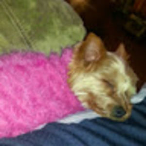 Meet your Posher, Jerry